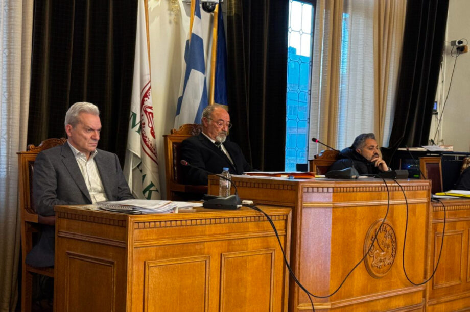 Καλοκαιρινός Ρυακιωτάκης Δημοτικό Συμβούλιο