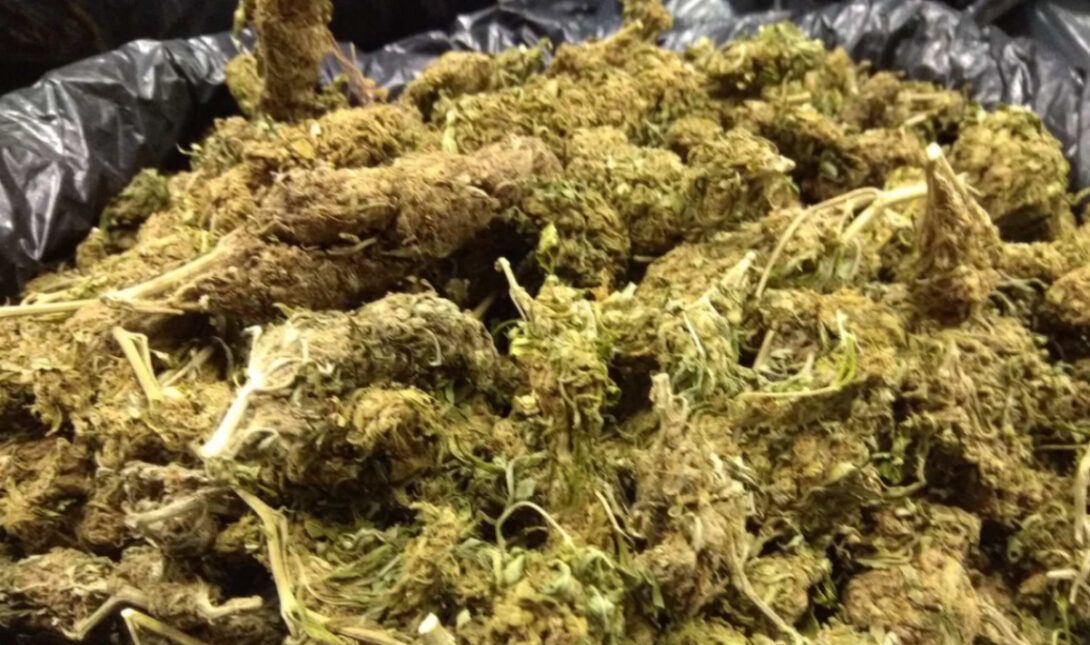 Κάνναβη Χασίς