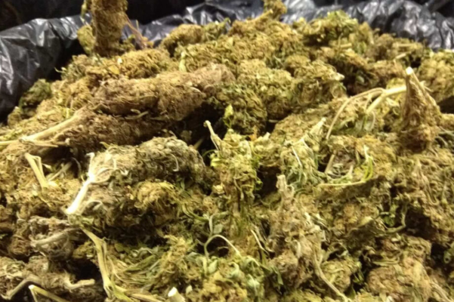 Κάνναβη Χασίς