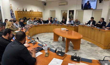 Δημοτικό Συμβούλιο Μαλεβιζίου