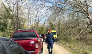 Νεκρός 68χρονος που καταπλακώθηκε από δέντρο μπροστά στα μάτια της γυναίκας του στη Λαμία (φωτο, βίντεο)