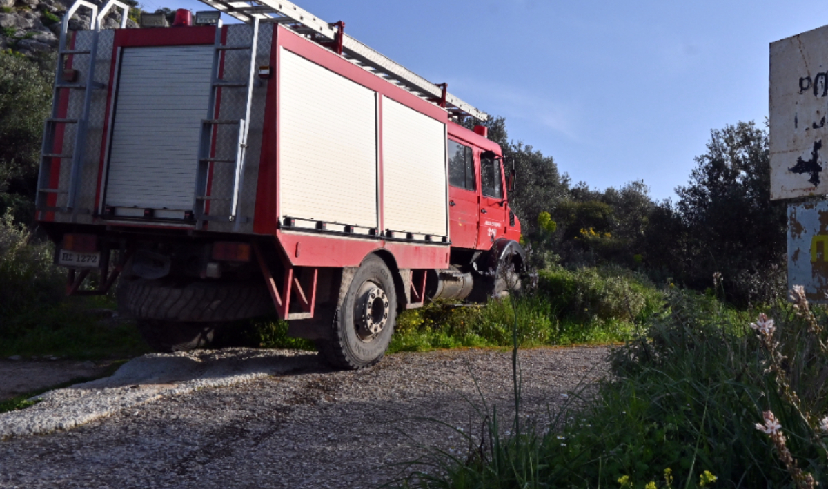 Υπό έλεγχο η φωτιά στη Βιάννο – Άμεση ήταν η επέμβαση της Πυροσβεστικής
