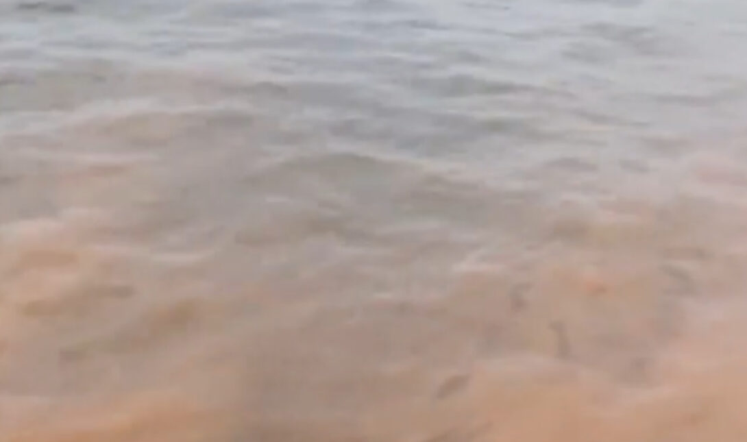 Θεσσαλονίκη: Άλλαξε χρώμα ο Θερμαϊκός! (βίντεο)