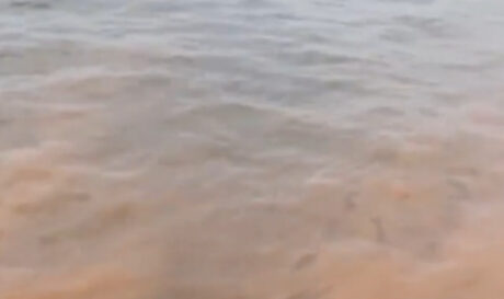 Θεσσαλονίκη: Άλλαξε χρώμα ο Θερμαϊκός! (βίντεο)