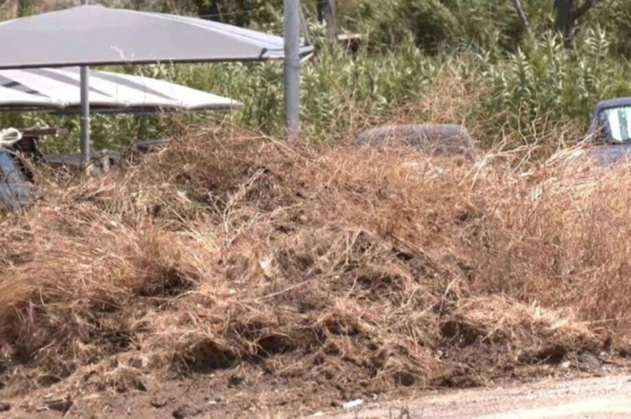 ΟΙΚΟΠΕΔΑ ΝΕΟ