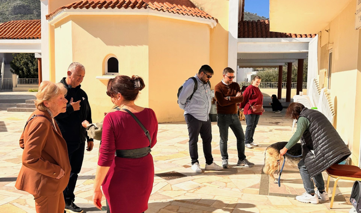 Περισσότερα από 500 ζώα στειρώθηκαν στις δράσεις του Δήμου Μαλεβιζίου σε συνεργασία με τη Zero Stray Project