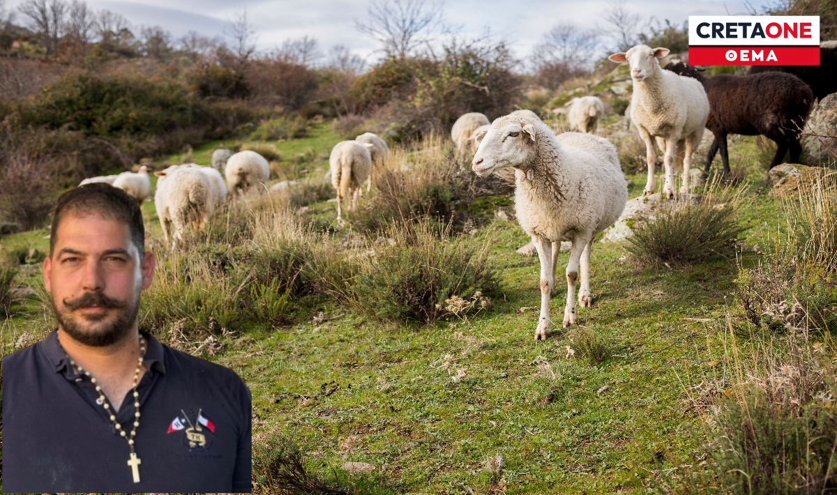 Κτηνοτρόφοι Ηρακλείου: Ζητούν λύσεις τώρα – Δεσμεύσεις από το Υπουργείο για πληρωμές έως Απρίλιο