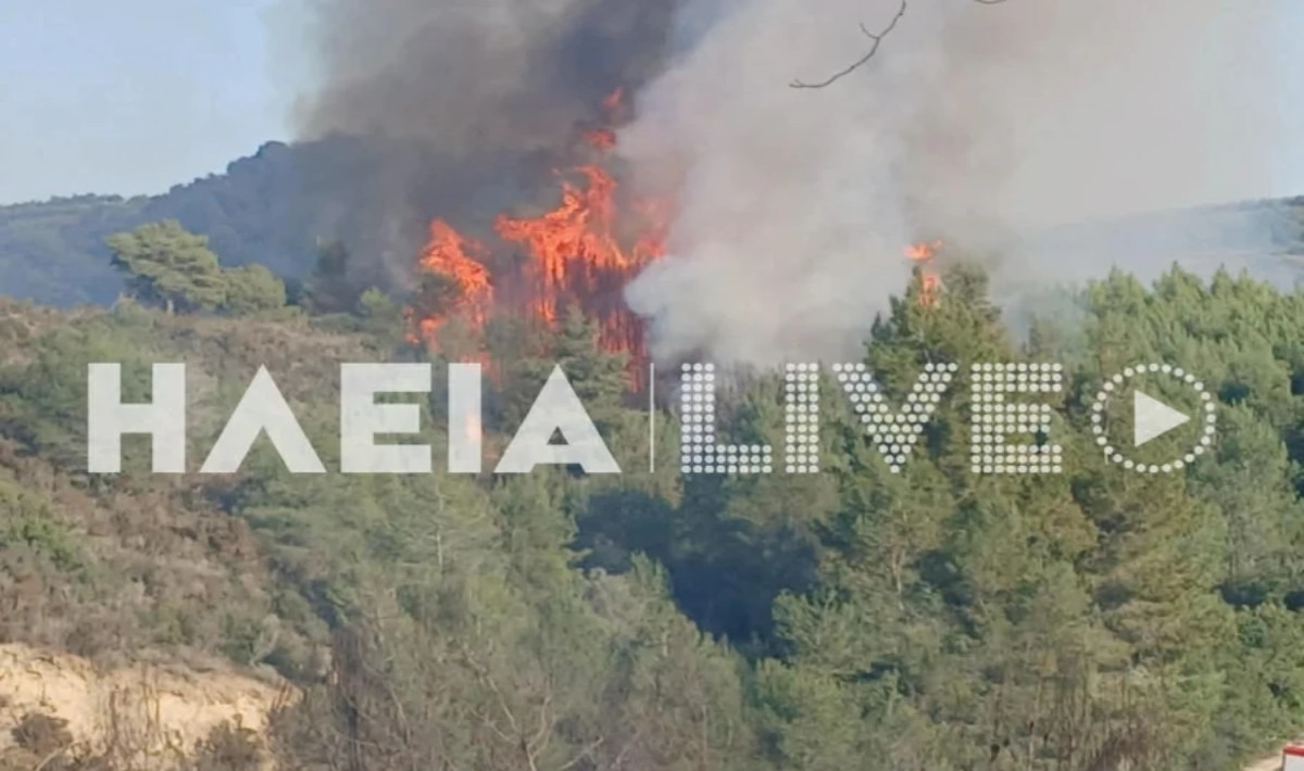 Ηλεία: Σε εξέλιξη η φωτιά – Καίει σε δύσβατη περιοχή