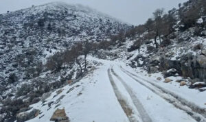 Μαγευτικό τοπίο στην Κρήτη: «Άσπρισαν» ο Ψηλορείτης και το Δάσος του Ρούβα – Δείτε εντυπωσιακές εικόνες