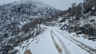 ΓΕΡΓΕΡΗ ΧΙΟΝΙΑ