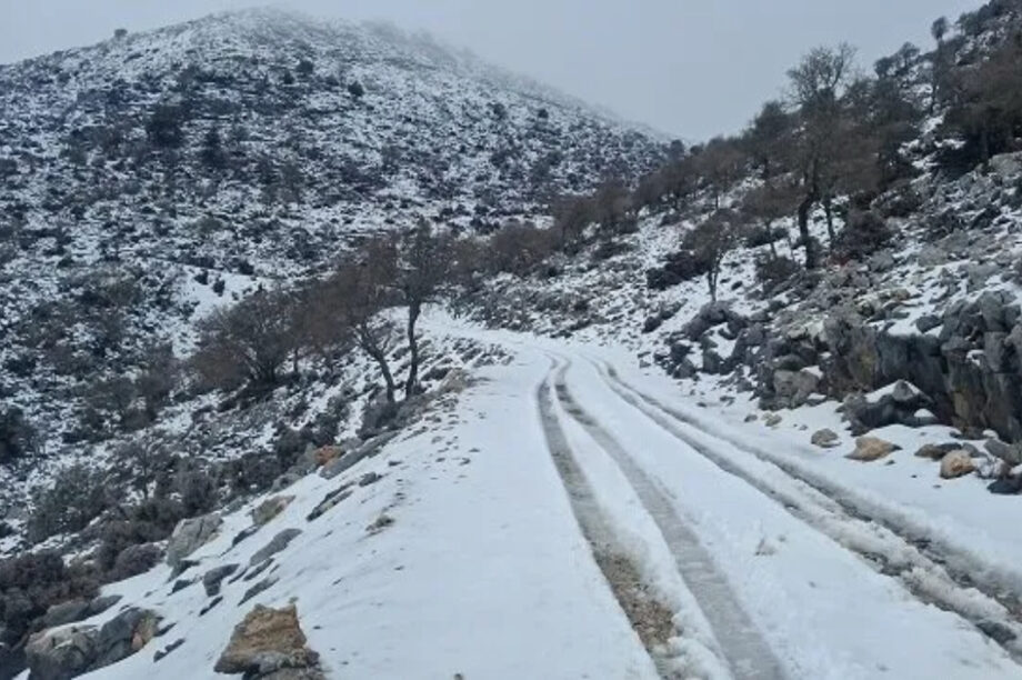 ΓΕΡΓΕΡΗ ΧΙΟΝΙΑ