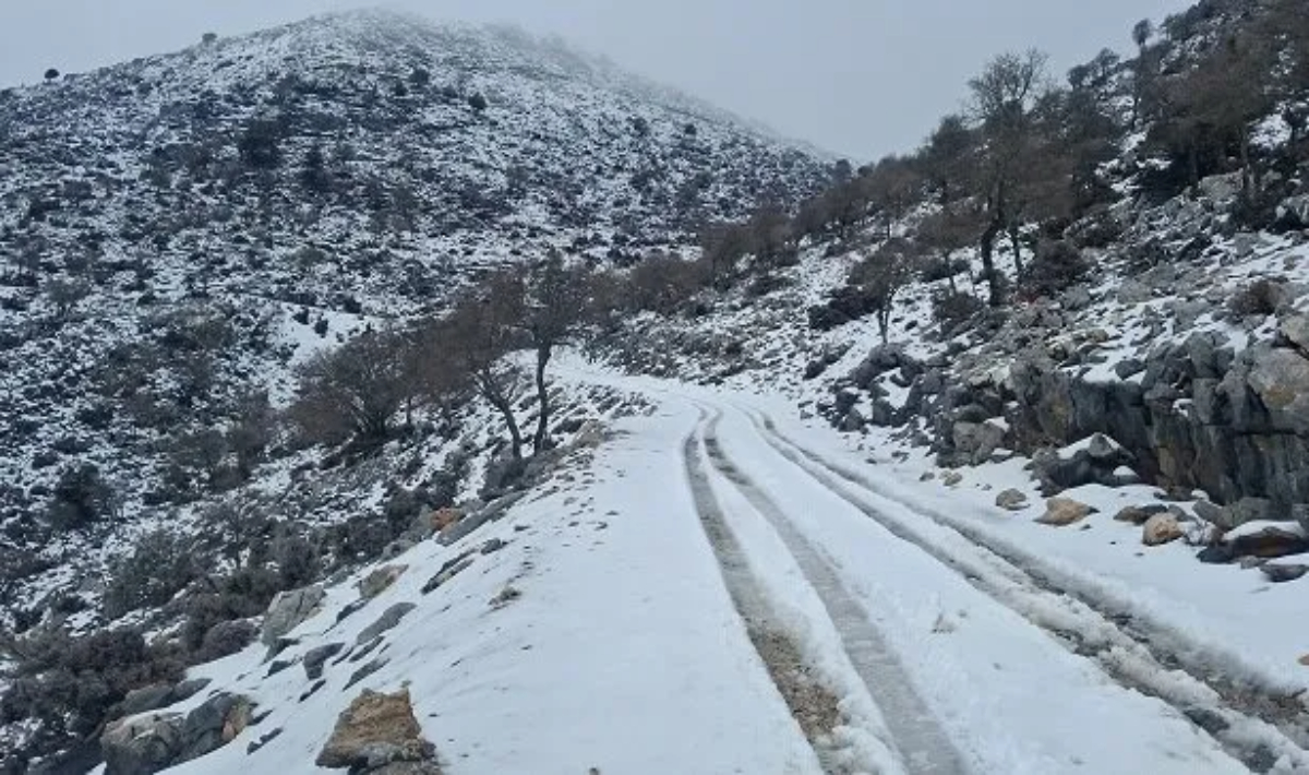 Μαγευτικό τοπίο στην Κρήτη: «Άσπρισαν» ο Ψηλορείτης και το Δάσος του Ρούβα – Δείτε εντυπωσιακές εικόνες