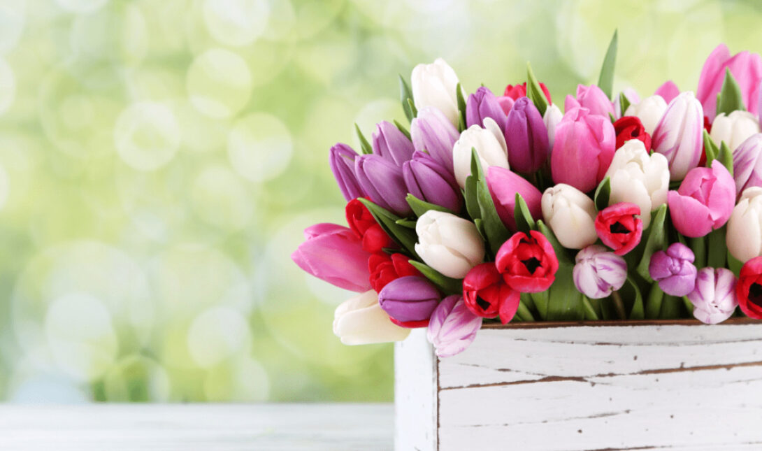 ΕΟΡΤΟΛΟΓΙΟ ΝΕΟ