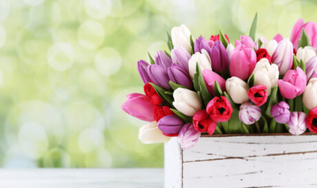 ΕΟΡΤΟΛΟΓΙΟ ΝΕΟ