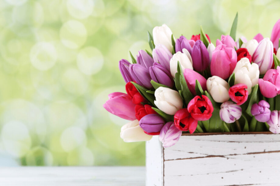 ΕΟΡΤΟΛΟΓΙΟ ΝΕΟ