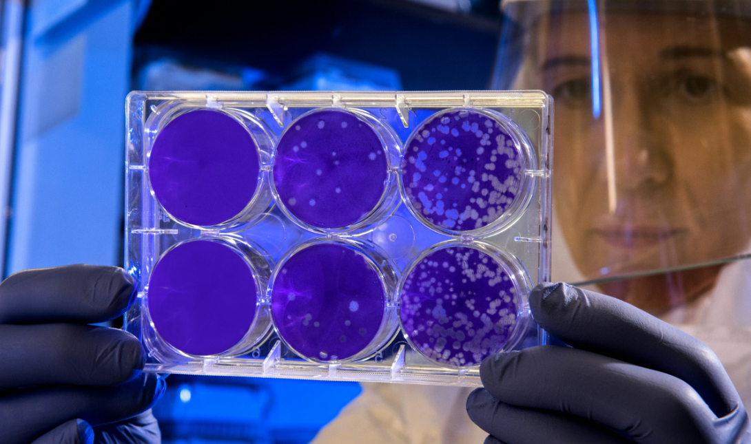 Επιστήμονες δημιούργησαν ένα από τα ισχυρότερα όπλα για τη θεραπεία του καρκίνου