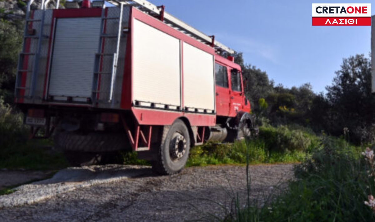 Λασίθι: Έχει μπλοκάρει το επαρχιακό δίκτυο μετά τη πτώση μεγάλου πεύκου – Επί τόπου οι αρχές