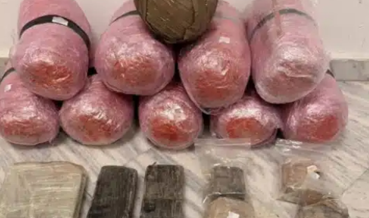 Σοκ στη Θεσσαλονίκη: Αστυνομικός σκύλος εντόπισε πάνω από 11 κιλά κάνναβης και 2 κιλά ηρωίνης σε σπίτι