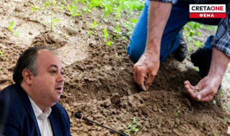 ΠΡΩΤΟΓΕΝΗΣ ΤΟΜΕΑΣ ΑΓΡΟΤΕΣ ΑΓΡΟΤΙΚΗ ΟΙΚΟΝΟΜΙΑ ΜΕΝΕΛΑΟΣ ΓΑΡΔΙΚΙΩΤΗΣ ΠΟΛΕΜΟΣ ΜΕΣΗ ΑΝΑΤΟΛΗ