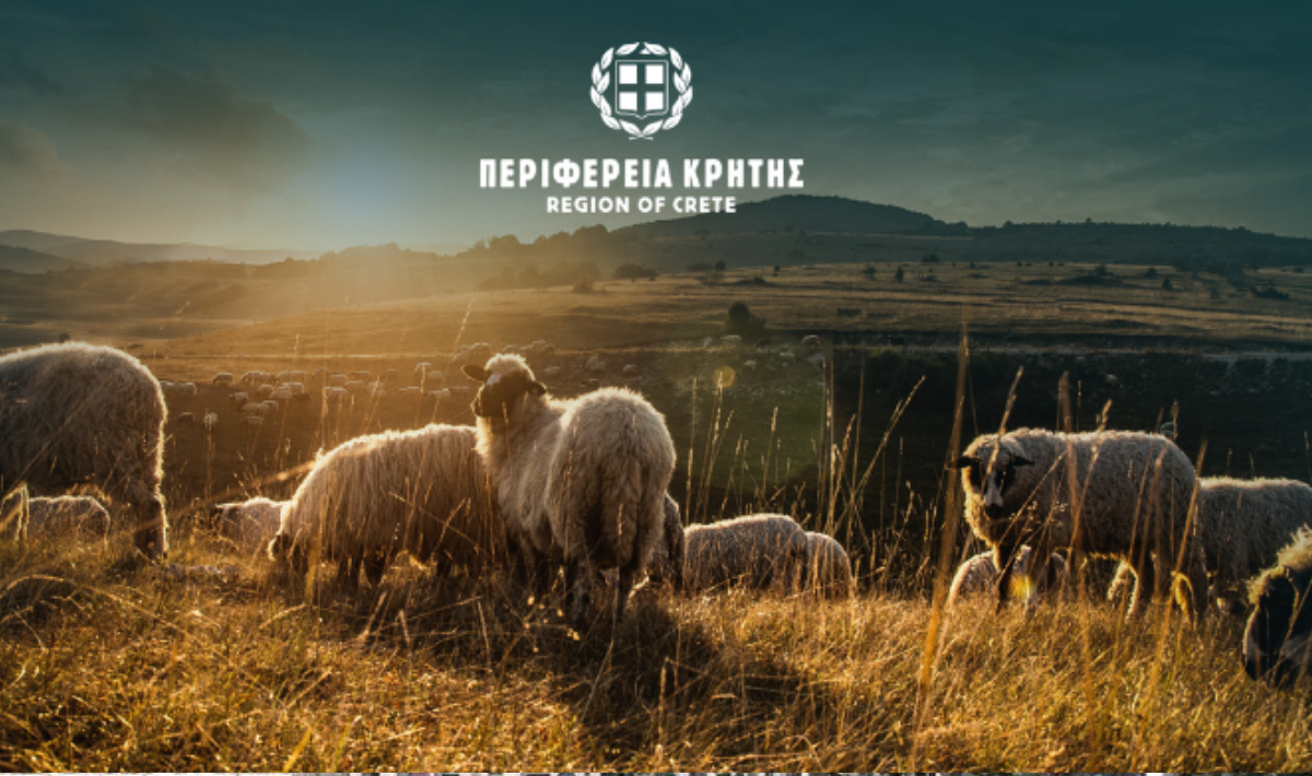Παρατείνονται τα προληπτικά μέτρα για την ευλογιά των αιγοπροβάτων στην Κρήτη