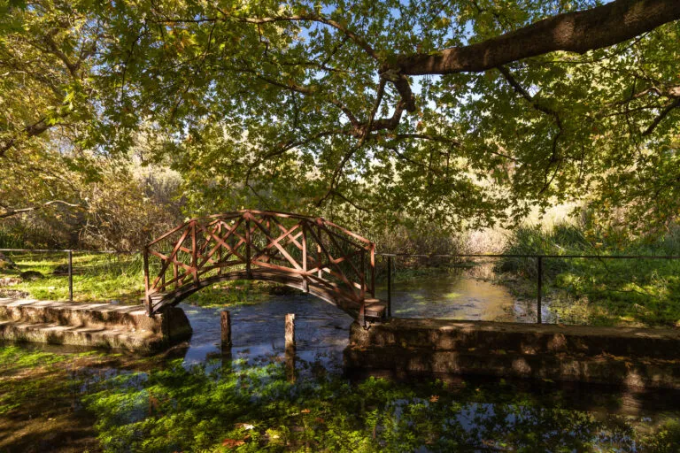 Πικ νικ στην ελληνική φύση: Ανοιξιάτικες αποδράσεις που μαγεύουν