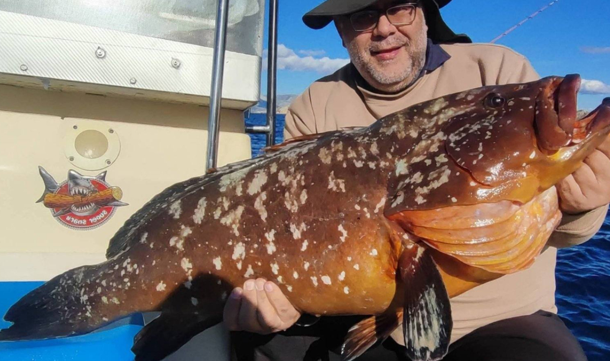 Εντυπωσιακή ψαριά Κρητικού στην Αττική – Έπιασε έναν ροφό γίγας (φώτο)