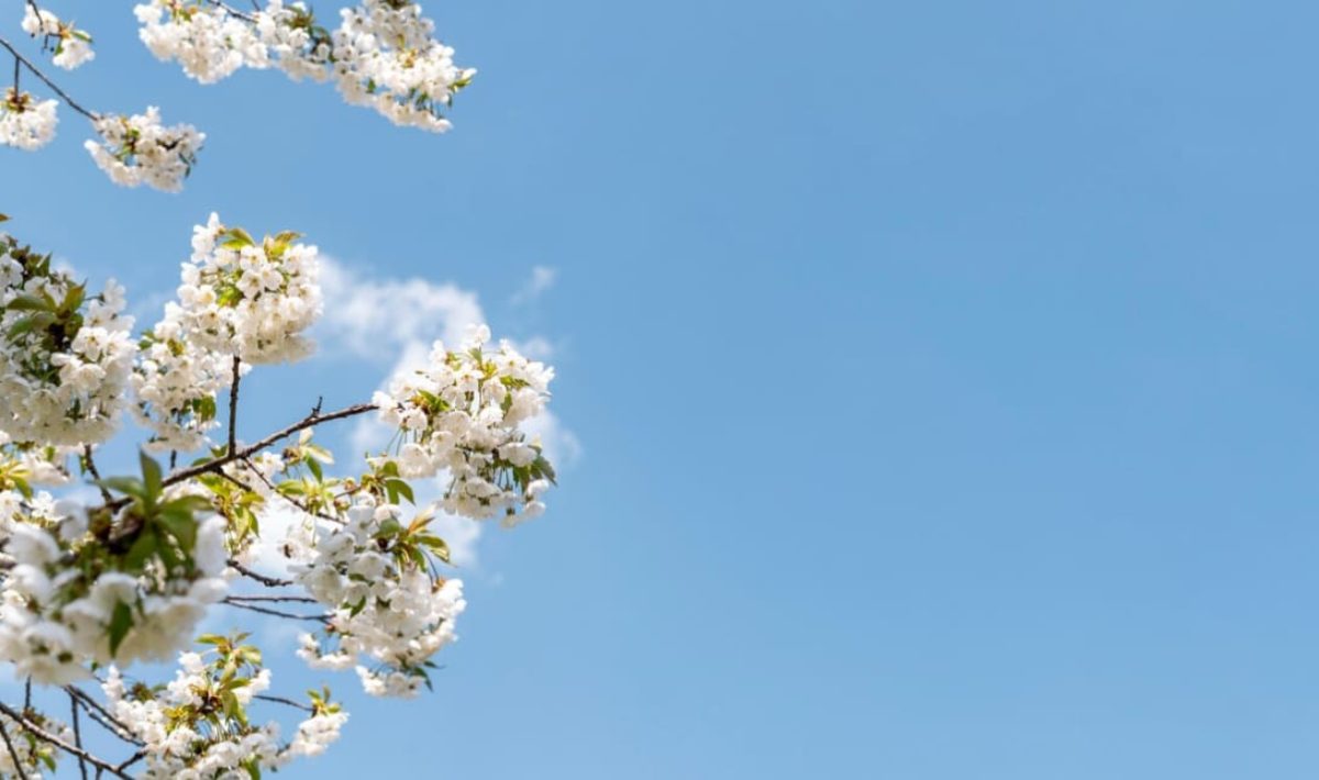 Κρήτη: Αίθριος ο καιρός – Πότε αλλάζει το σκηνικό