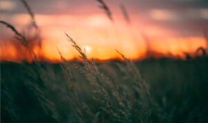 Στην τρίτη θέση των θερμότερων Φεβρουαρίων από το 2010 η Κρήτη