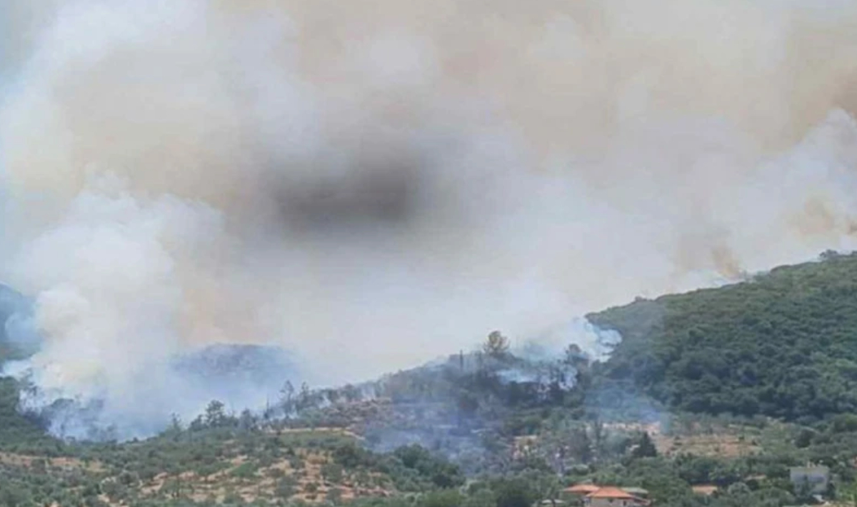 Εύβοια: Συνελήφθη 56χρονος για πρόκληση πυρκαγιάς