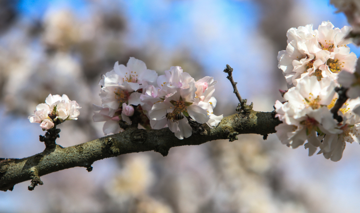 Πάσχα με καιρικές εκπλήξεις: Πού θα βρέξει και πού θα έχει ήλιο
