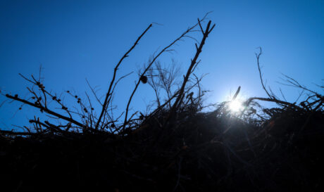 Ακαθάριστο Οικόπεδο