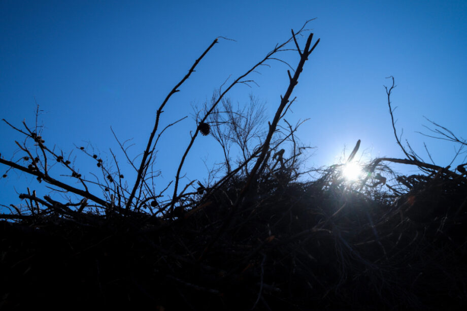 Ακαθάριστο Οικόπεδο