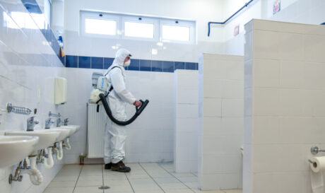 Απολύμανση