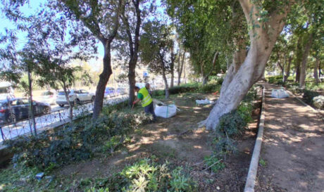 Έργα καλλωπισμού και συντήρησης πρασίνου από τον Δήμο Ηρακλείου