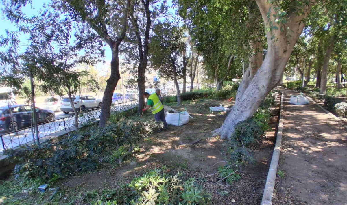 Έργα καλλωπισμού και συντήρησης πρασίνου από τον Δήμο Ηρακλείου