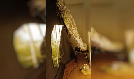 47χρονος είχε μετατρέψει το διαμέρισμά του σε εργαστήριο κάνναβης! (βίντεο)