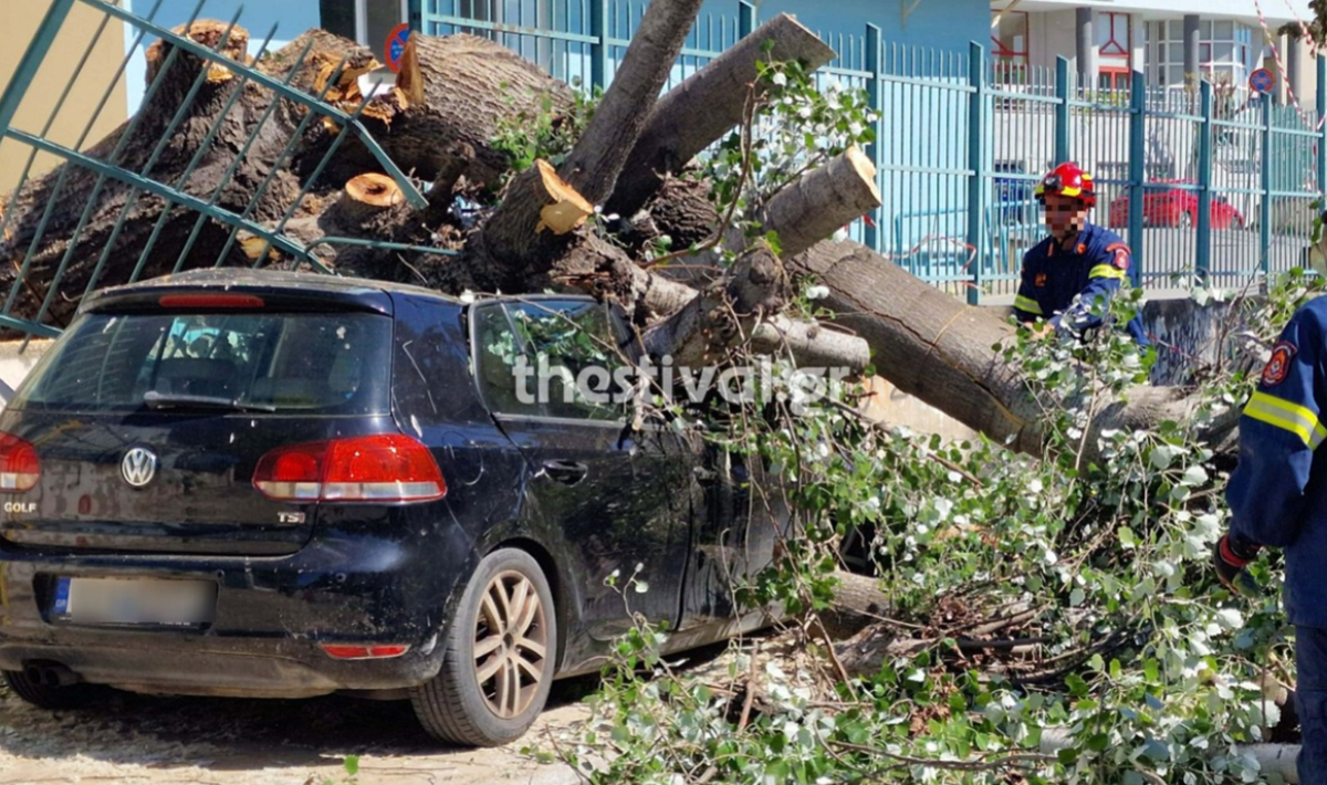 Θεσσαλονίκη: Πτώση δέντρου πάνω σε σταθμευμένα αυτοκίνητα λόγω ανέμων (φωτο,βίντεο)