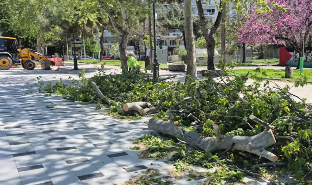 Πτώσεις δέντρων στη Θεσσαλονίκη: Τραυματίστηκαν δύο παιδιά (βίντεο)