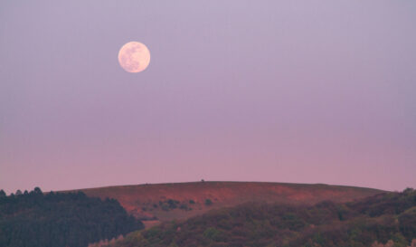 Ροζ Φεγγάρι