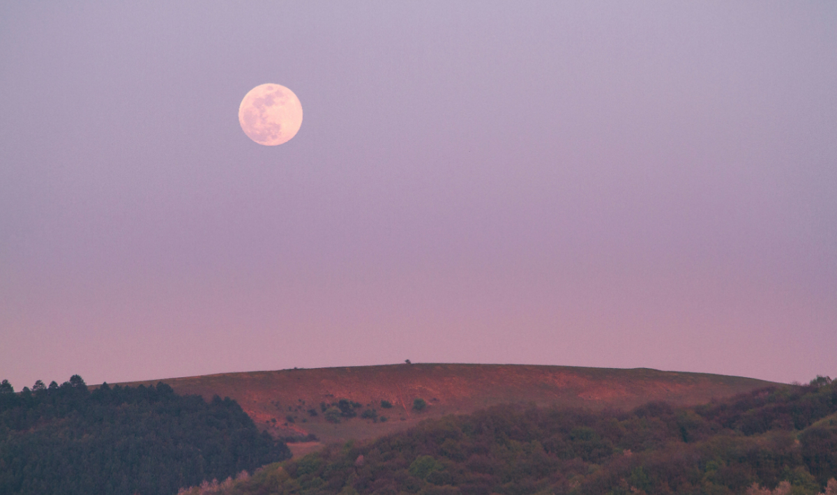 Ροζ Φεγγάρι