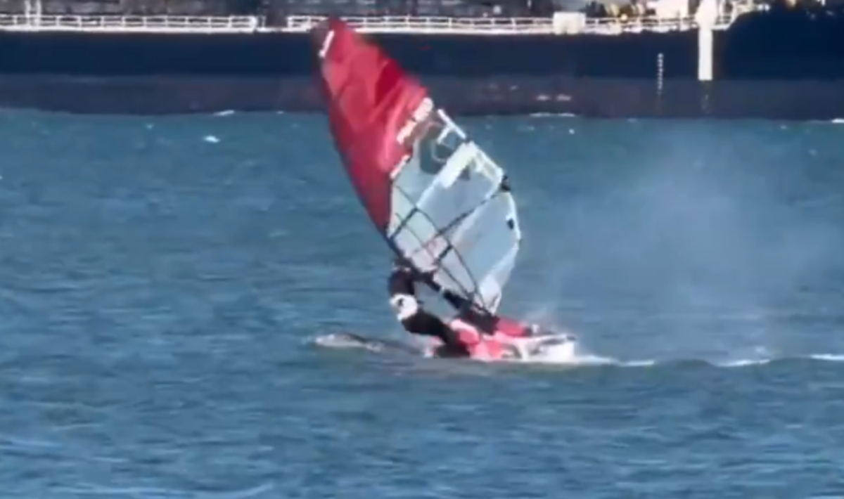 ΗΠΑ: Σέρφερ συγκρούστηκε με τεράστια γκρίζα φάλαινα! (βίντεο)