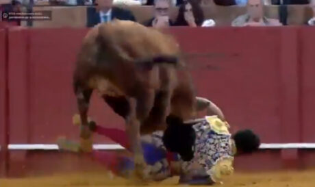 Ισπανία: Σοβαρός τραυματισμός ταυρομάχου στη Σεβίλλη (βίντεο)