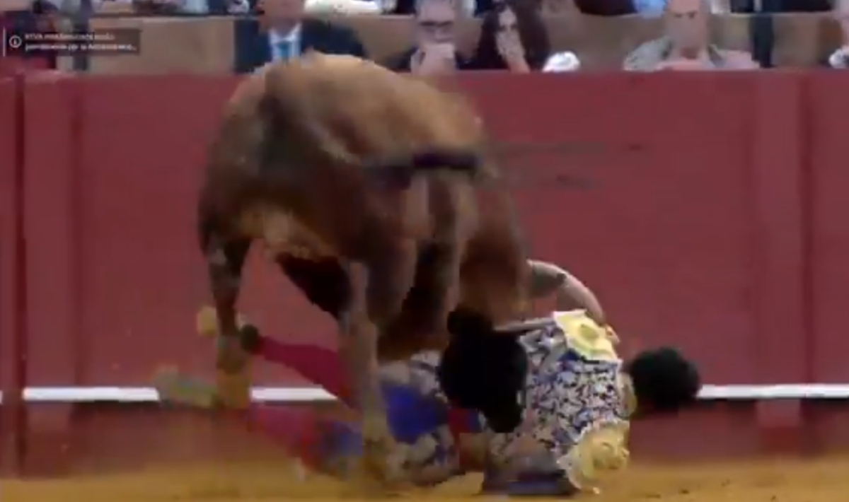 Ισπανία: Σοβαρός τραυματισμός ταυρομάχου στη Σεβίλλη (βίντεο)