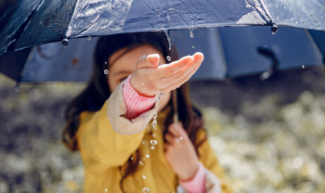 ΒΡΟΧΕΣ ΒΡΟΧΗ