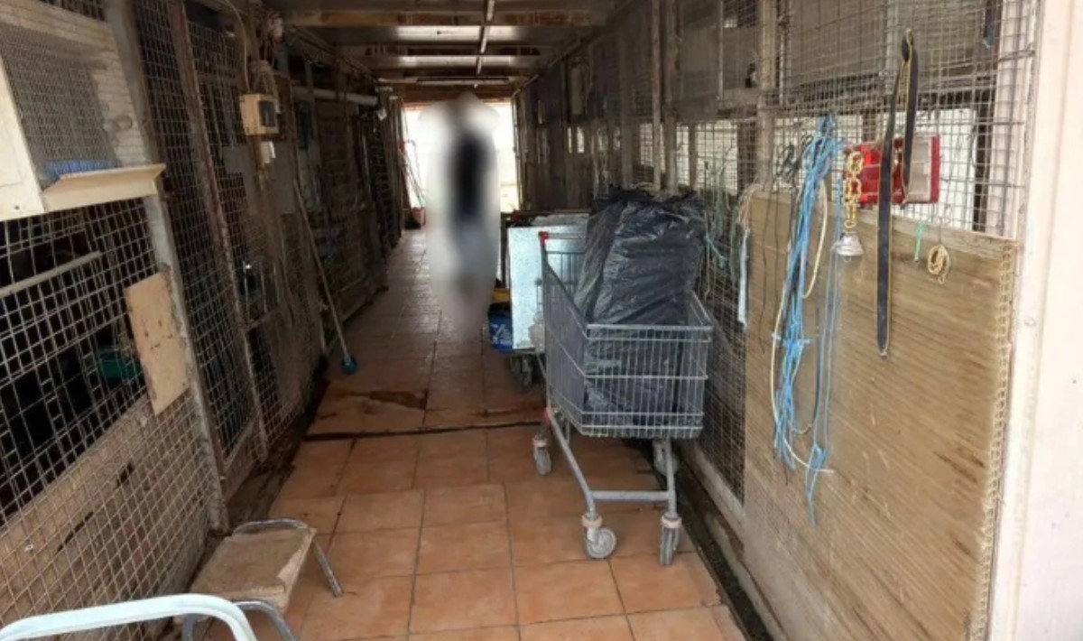 Τι απάντησε ο άνδρας που κατηγορείται για την παράνομη εκτροφή ζώων στους  Αμπελόκηπους – Η αποκάλυψη της υπόθεσης