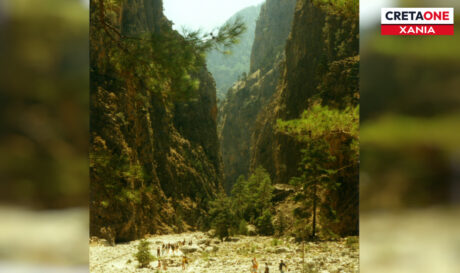 ΕΘΝΙΚΟΣ ΔΡΥΜΟΣ ΣΑΜΑΡΙΑΣ ΦΑΡΑΓΓΙ ΣΑΜΑΡΙΑΣ