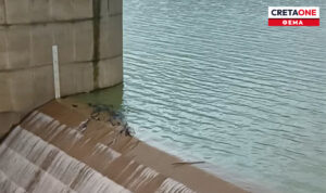 Το πιο πετυχημένο φράγμα στην Κρήτη υπερχείλισε κι ετοιμάζεται να «ξεδιψάσει»  όλο το βόρειο Ρέθυμνο! Δείτε αποκαλυπτικά βίντεο