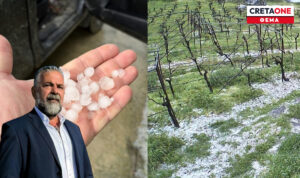 «Πληρώνουν» ακριβά την πρωινή χαλαζόπτωση οι παραγωγοί – Μεγάλες ζημιές σε αμπελώνες σε περιοχές της Κρήτης