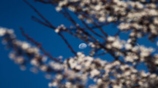 ΑΝΟΙΞΗ ΚΑΙΡΟΣ