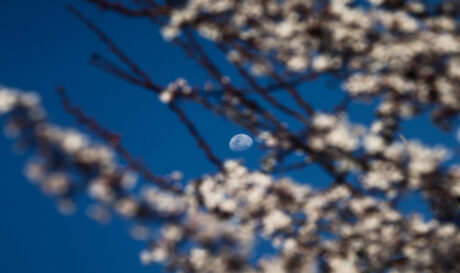 ΑΝΟΙΞΗ ΚΑΙΡΟΣ